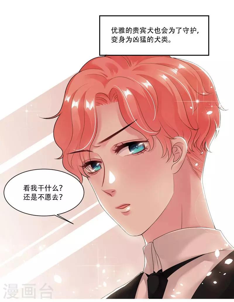 第31话 贵宾犬-第32话