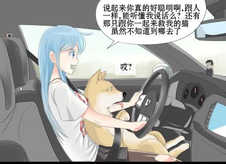 正传-第二十话-第20话