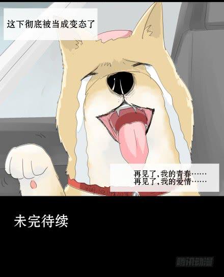 正传-第二十话-第20话