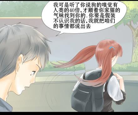 正传-第二十二话-第22话