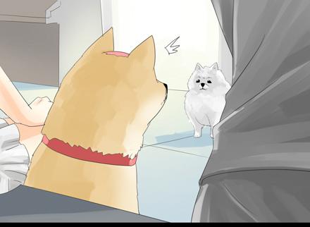 正传-第二十四话-第24话