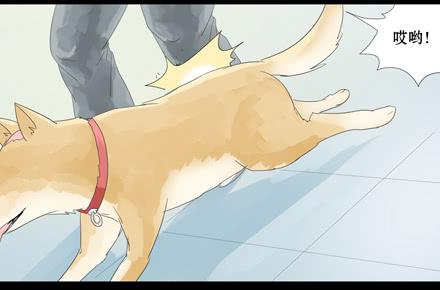 正传-第二十四话-第24话