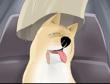 正传-第三十话-第30话