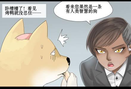 正传-第三十话-第30话