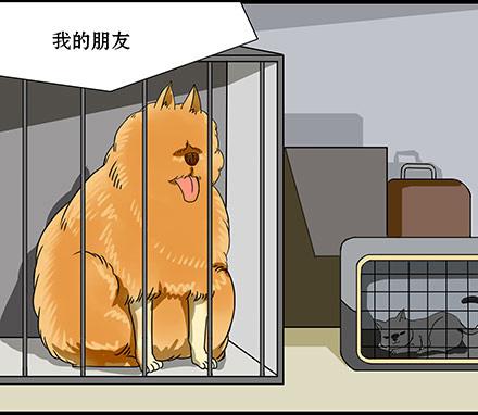 正传-第四十二话-第42话