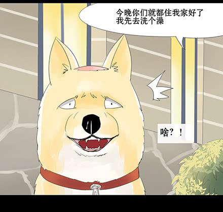 正传-第四十六话-第46话