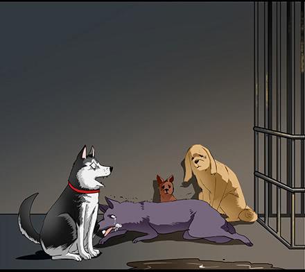 正传-第五十八话-第62话