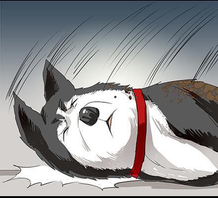 正传-第六十话-第64话