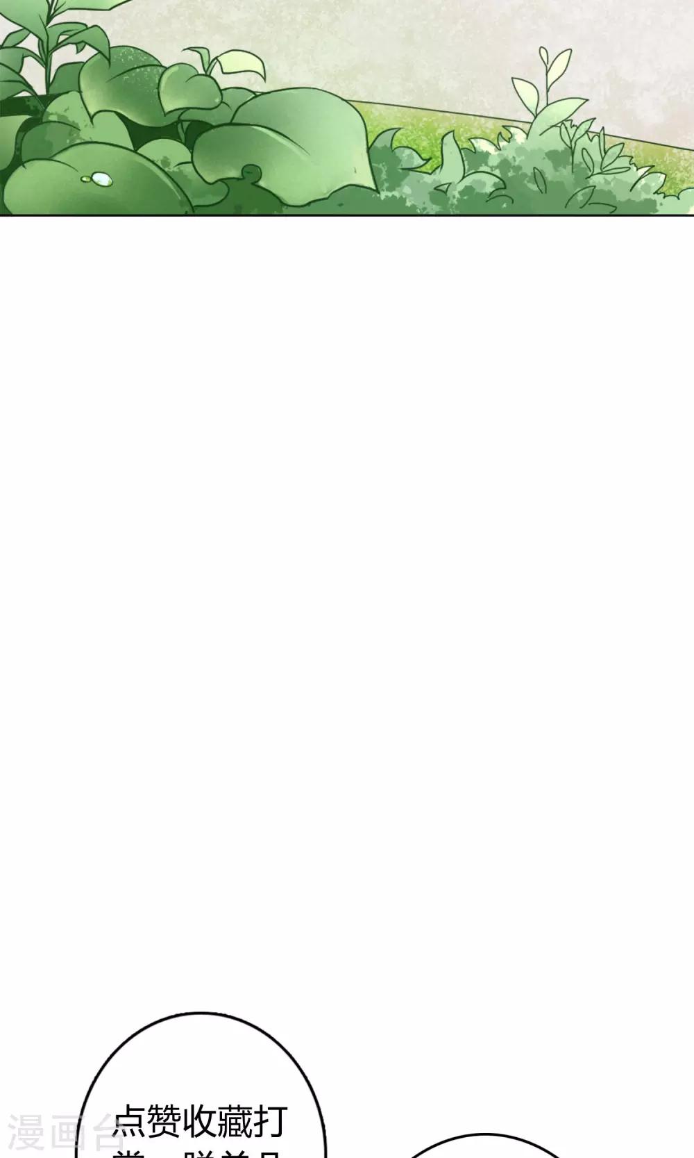 第3话 治愈的伤口-第6话