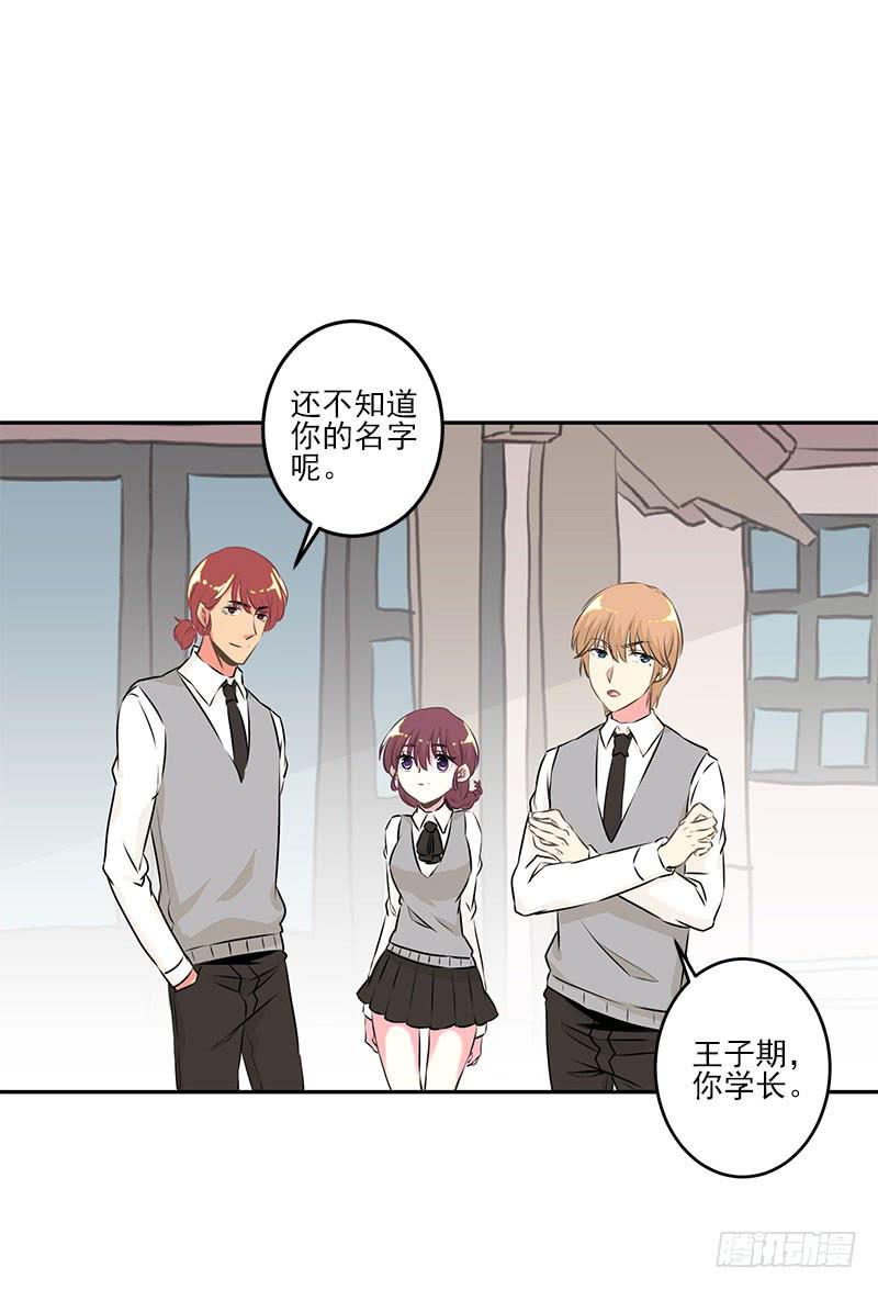 第5话(1/2)-第6话