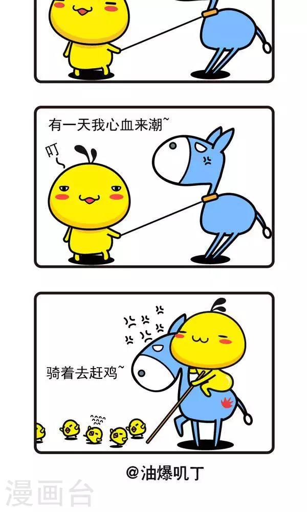 第50话 小毛驴-第50话