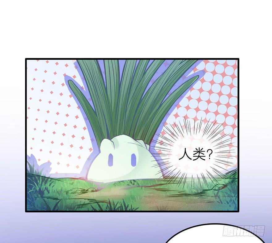 复仇的原因是？-第6话