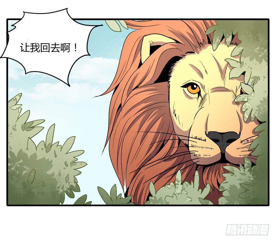 动物奇妙物语(1/2)-第104话