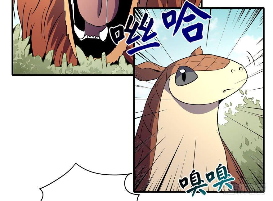 动物奇妙物语(1/2)-第104话