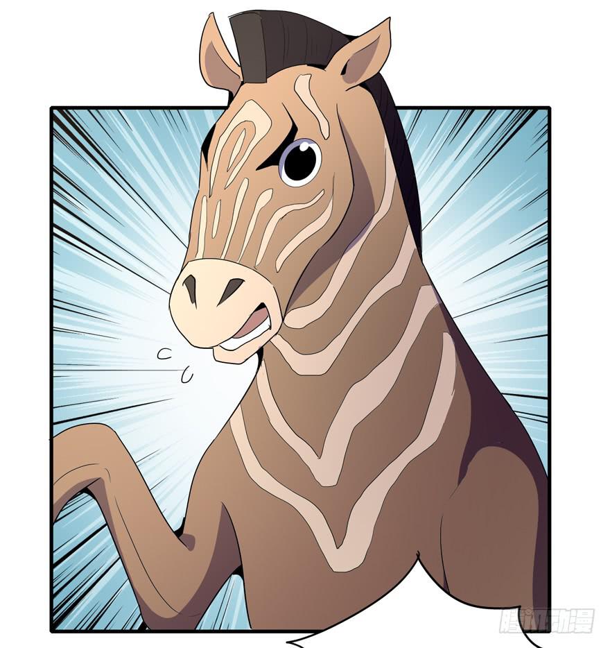 动物奇妙物语(1/2)-第104话