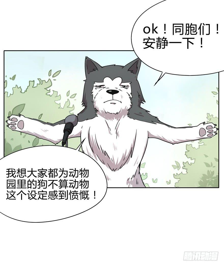 收集卡片是男人小时候的浪漫(1/2)-第14话