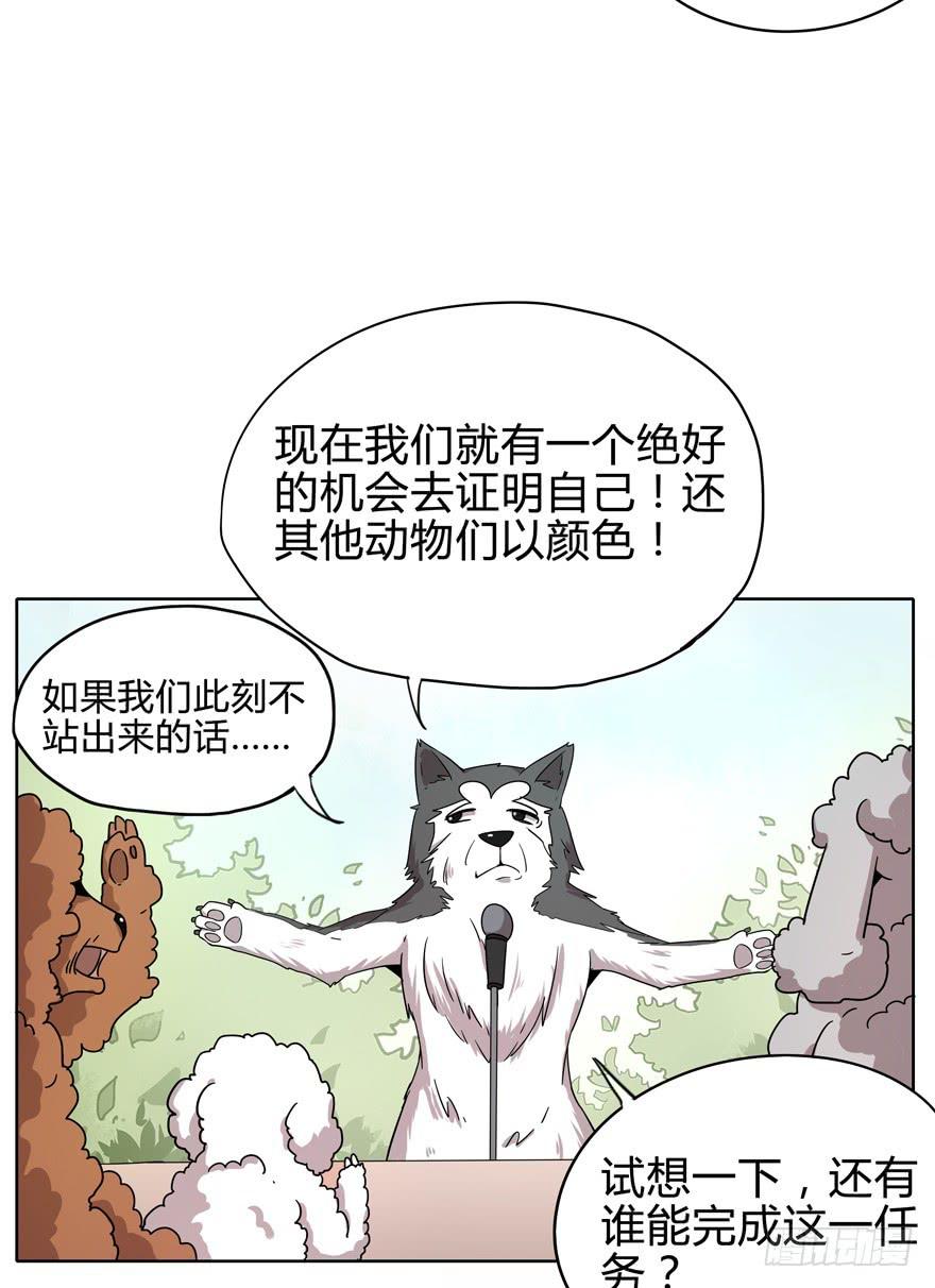 收集卡片是男人小时候的浪漫(1/2)-第14话