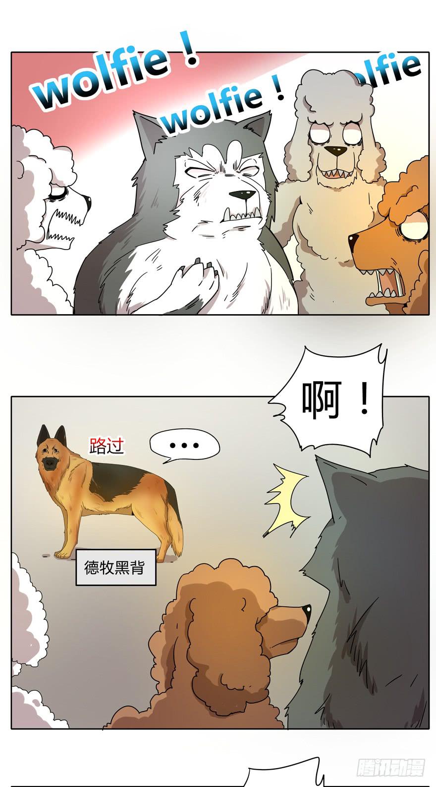 收集卡片是男人小时候的浪漫(1/2)-第14话