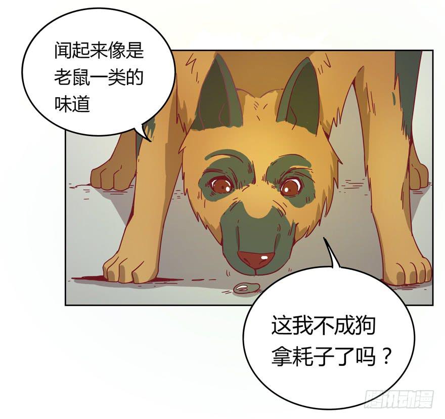 鼠疫(1/2)-第20话