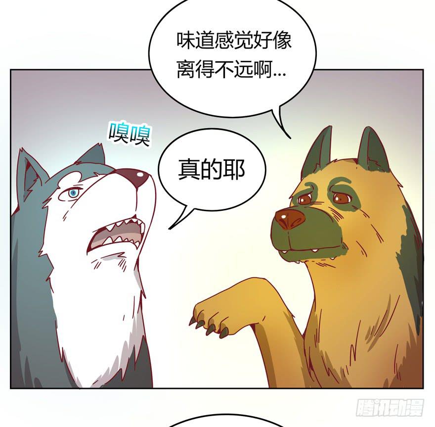 鼠疫(1/2)-第20话