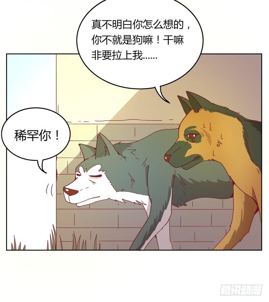 鼠疫(1/2)-第20话