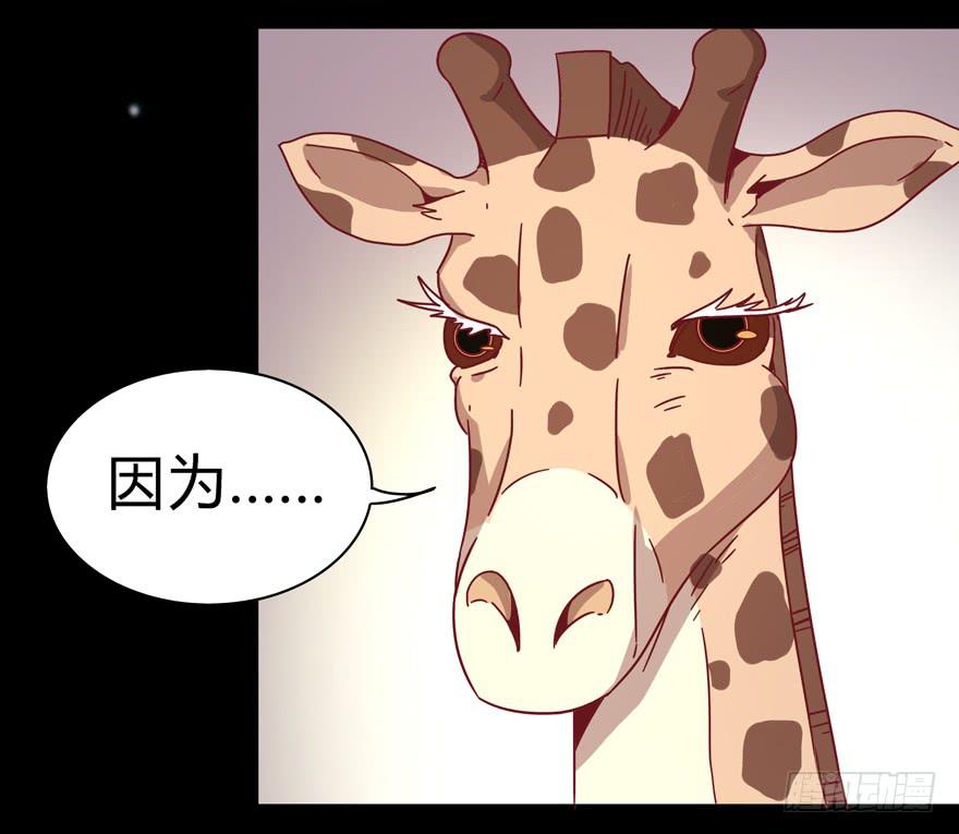 别低头 王冠会掉(1/2)-第22话