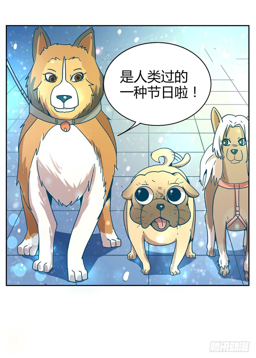 新年快乐！(1/2)-第24话