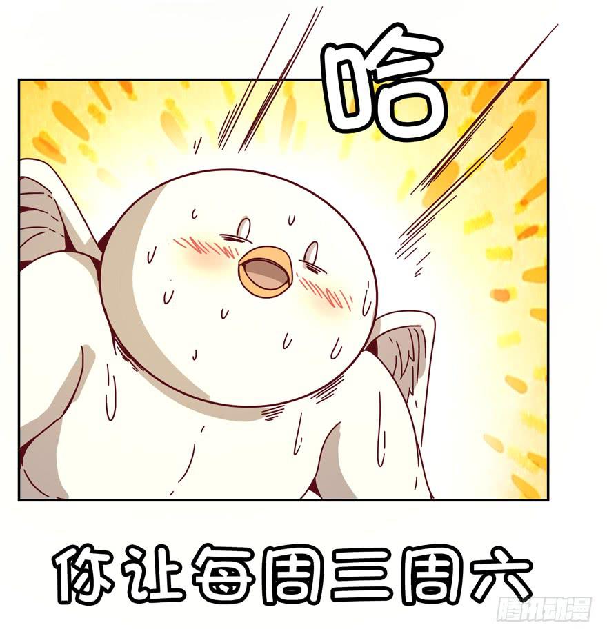 你吃过牛肝菌咩？(1/2)-第26话