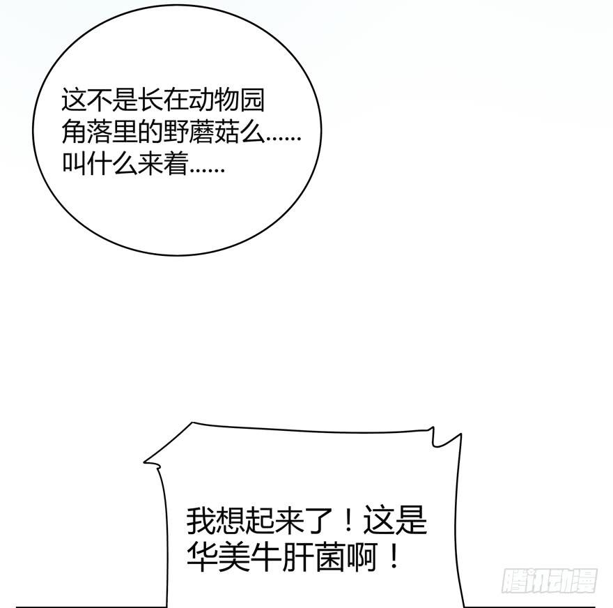 你吃过牛肝菌咩？(1/2)-第26话