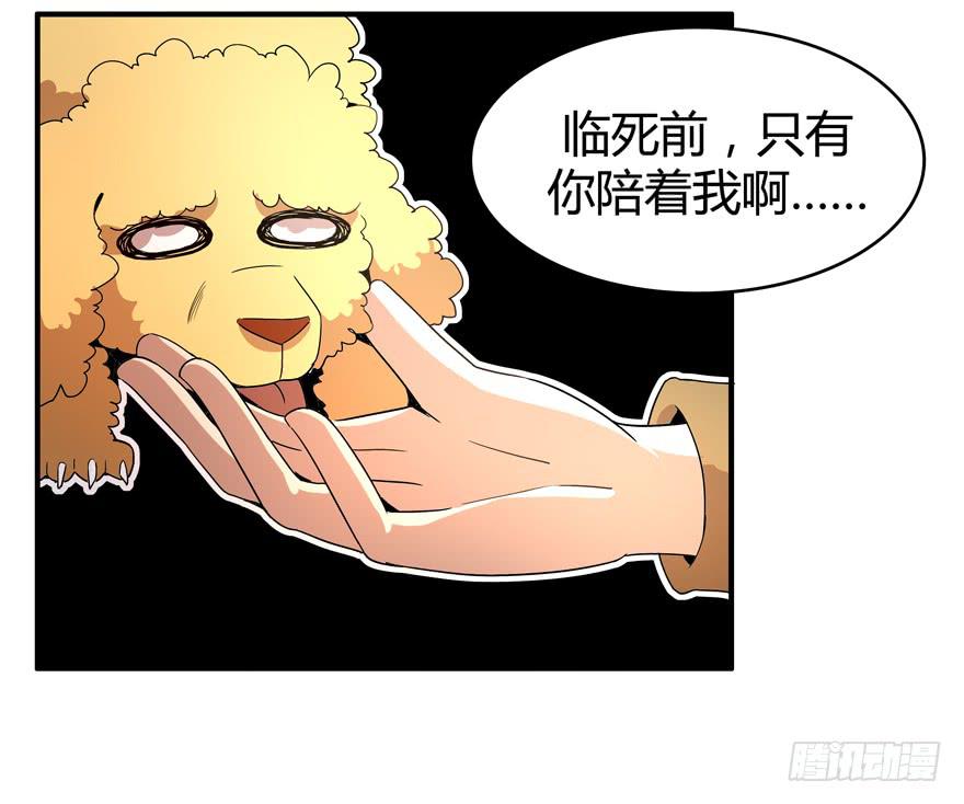 军犬的荣耀(1/2)-第78话