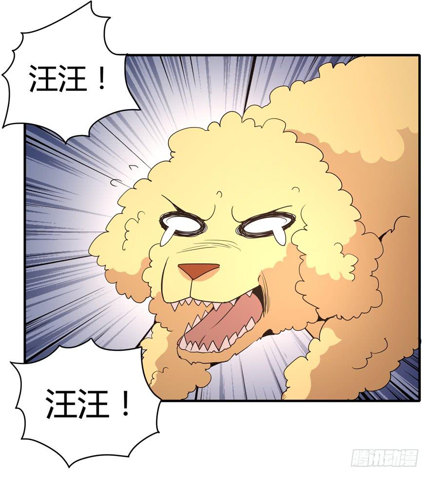 军犬的荣耀(1/2)-第78话