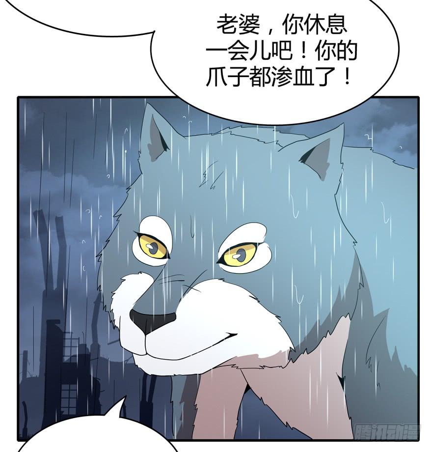 军犬的荣耀(1/2)-第78话