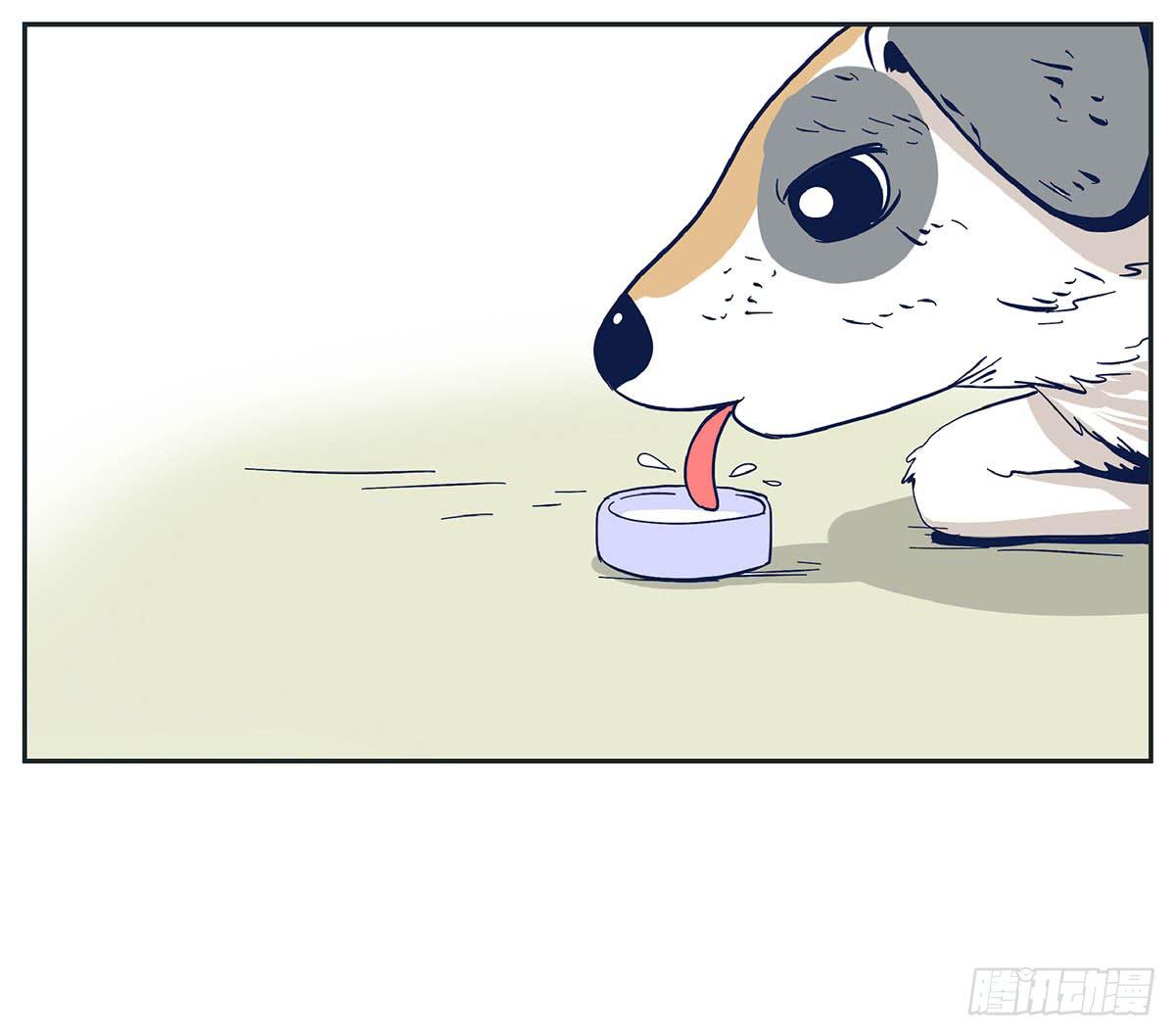 哥哥对常夏一见钟情(1/2)-第2话