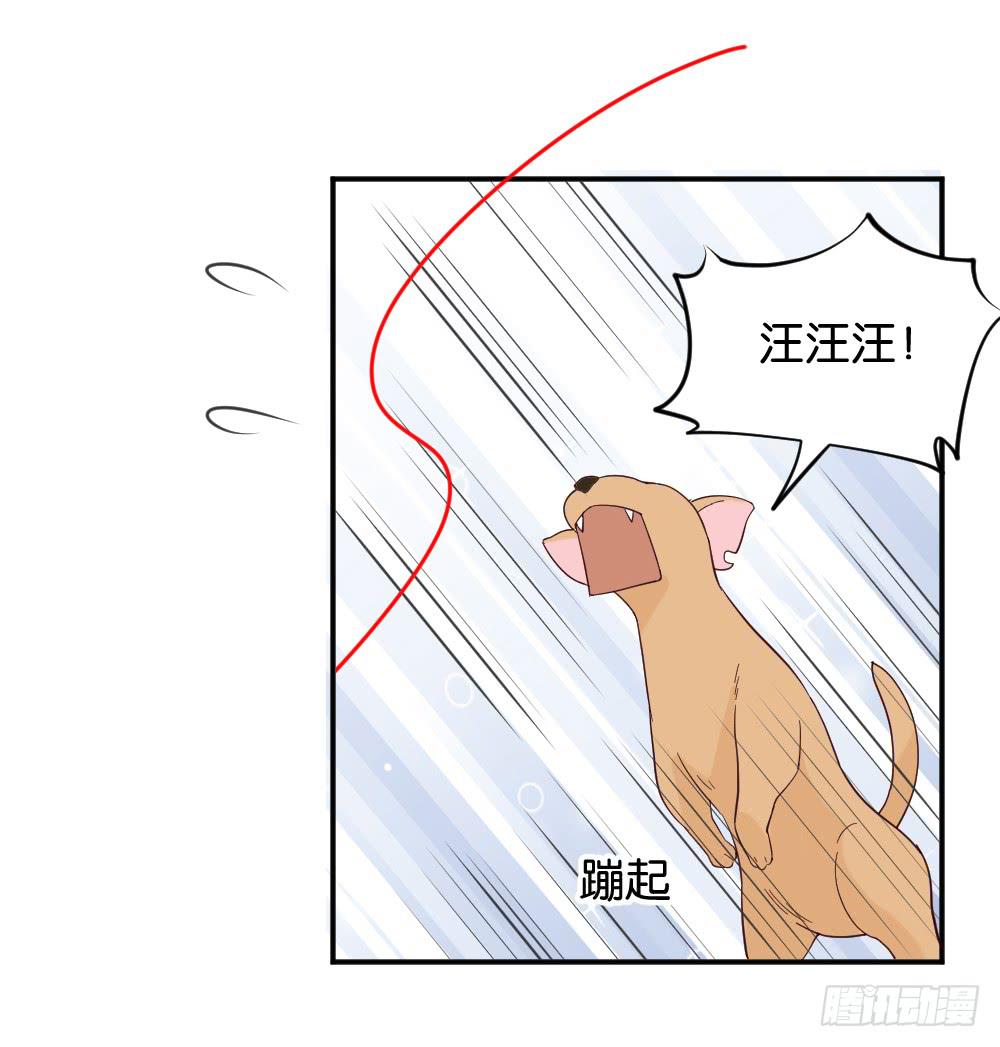 苏白篇3(1/2)-第30话