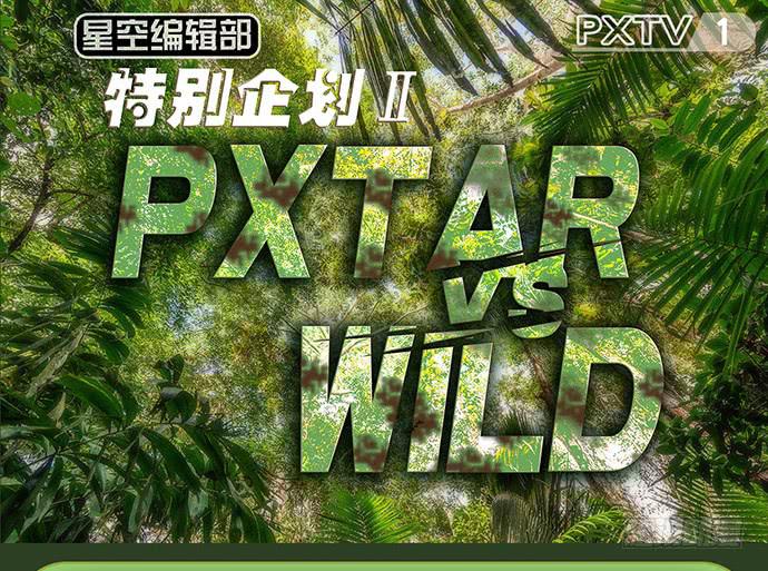 第29话(1/2)-第30话