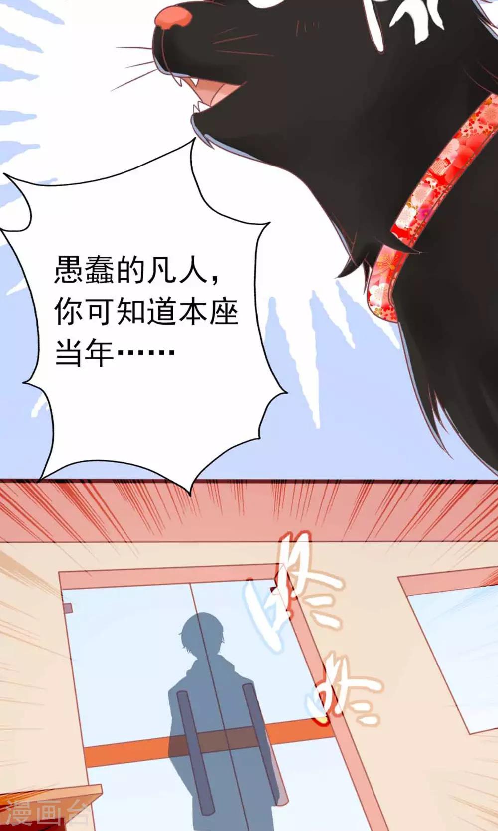 第3话 猫不理的小鱼干(1/2)-第4话