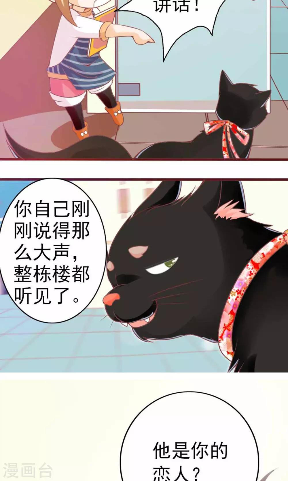 第3话 猫不理的小鱼干(1/2)-第4话