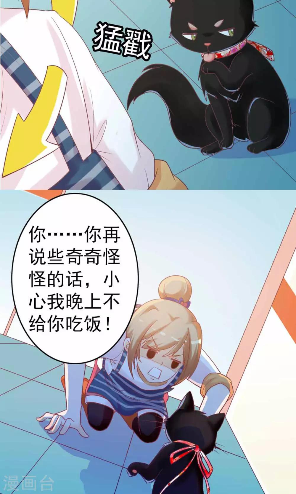 第3话 猫不理的小鱼干(1/2)-第4话