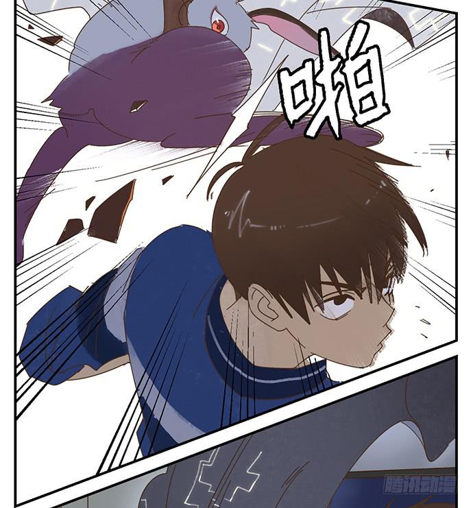 與兔共枕 - 天降之物 - 6