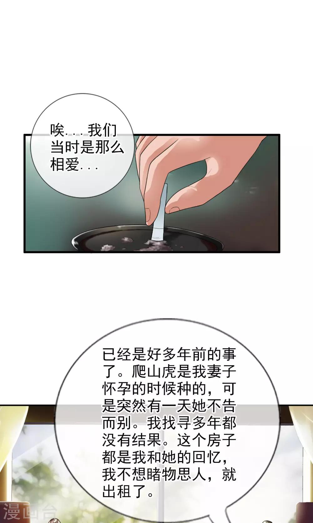 第41话 天陨石的来历-第44话