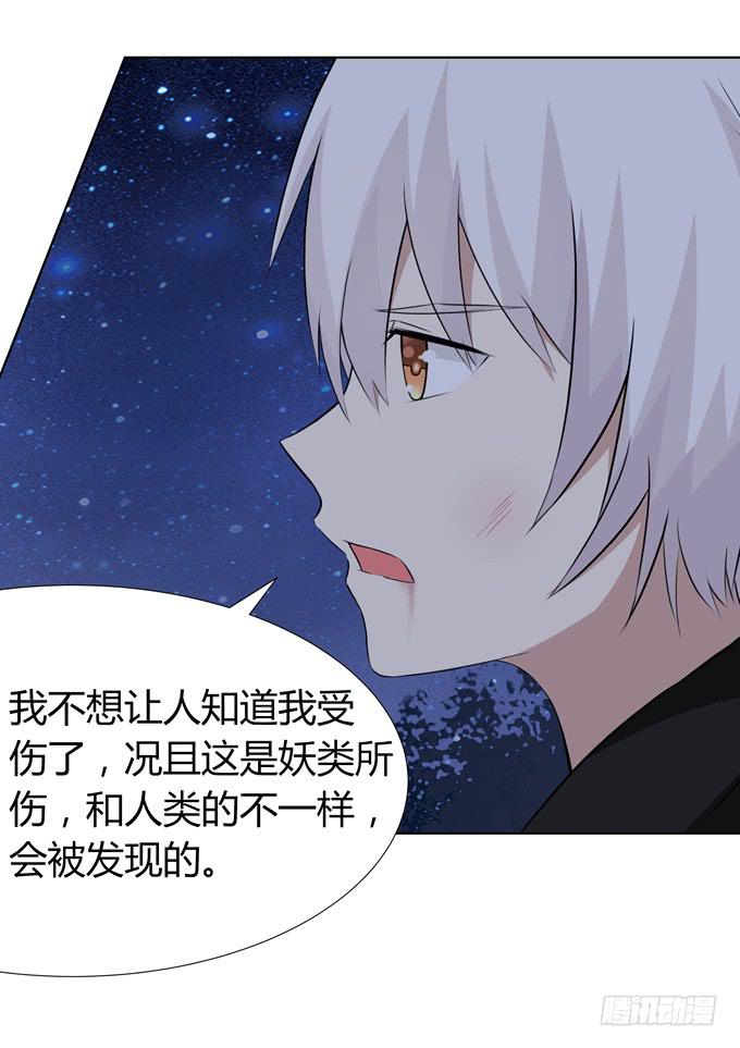 恢复平静的生活(1/2)-第28话