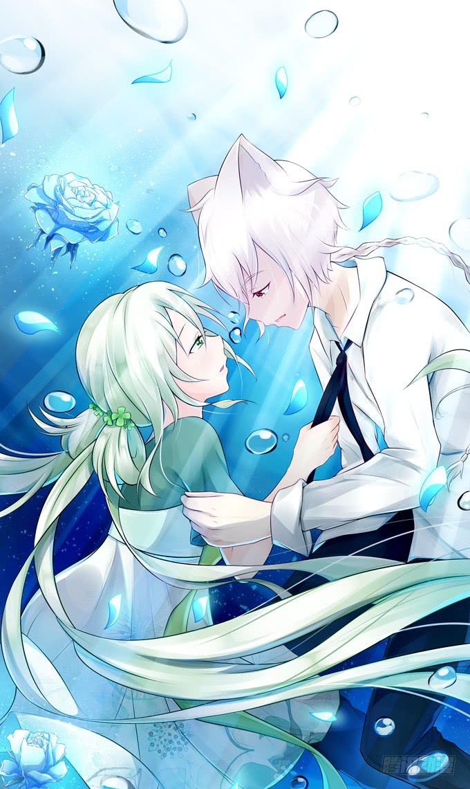 这背后一定有猫腻-第76话