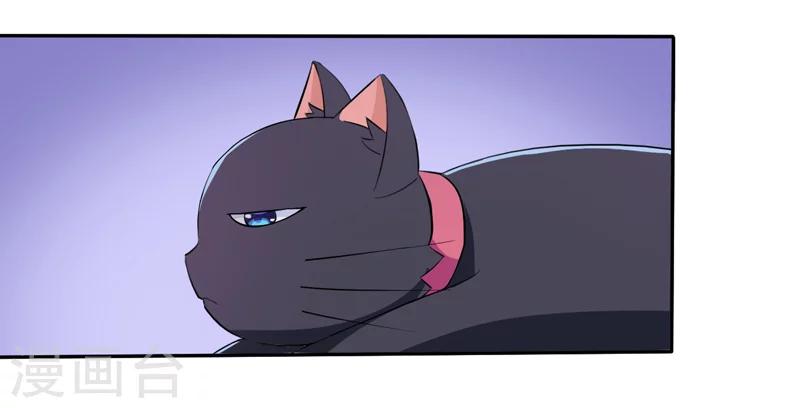 第2话 猫大爷太磨人了-第2话