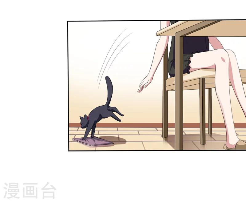 第2话 猫大爷太磨人了-第2话