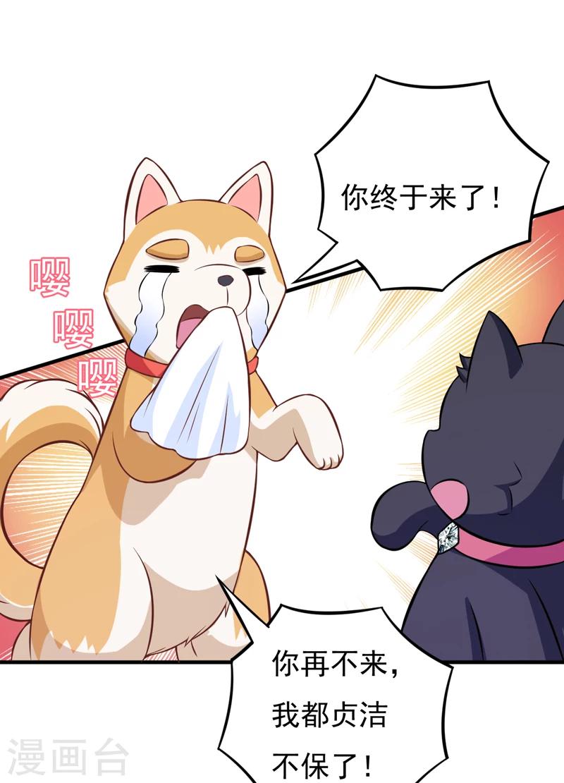 第82话 夜访马家-第82话