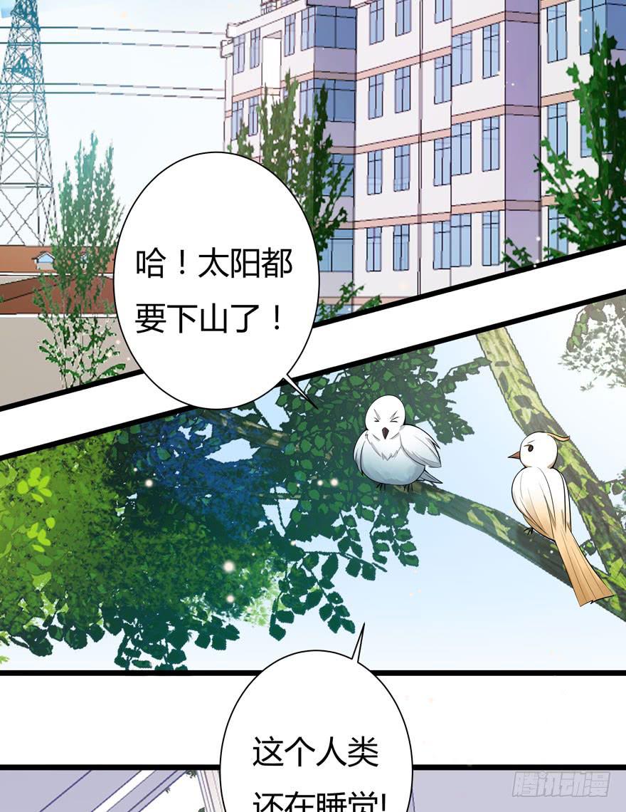 3.凡间&ldquo;真爱&rdquo;(1/2)-第4话