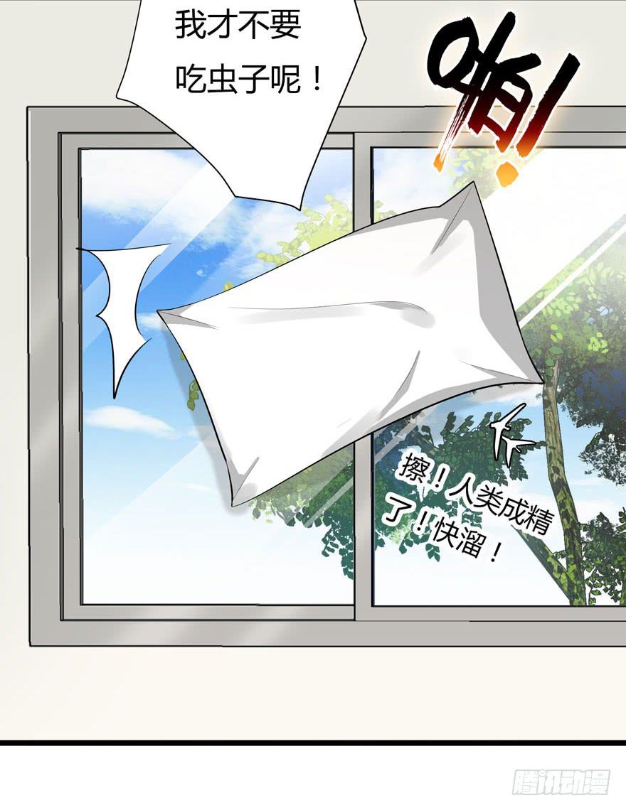 3.凡间&ldquo;真爱&rdquo;(1/2)-第4话