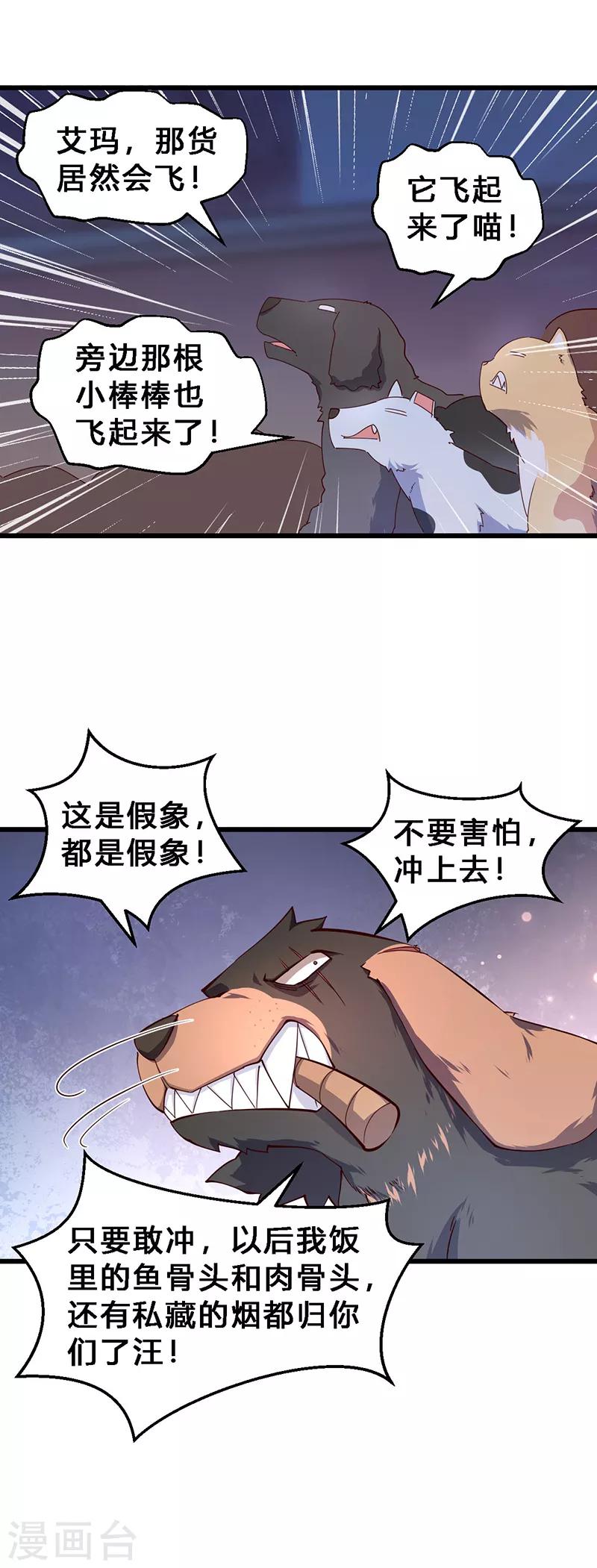 第27话 猫狗大战2-第28话