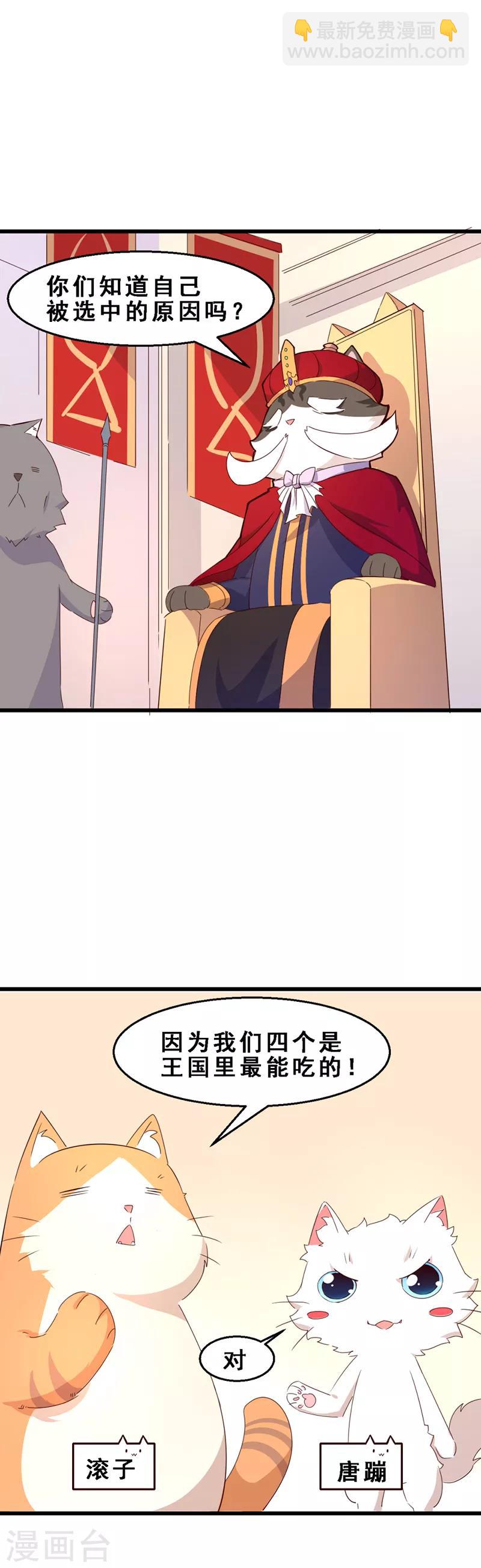 第3话 喵奇界大灾-第4话