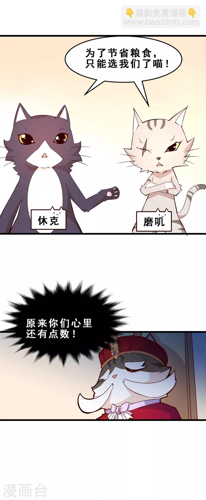 第3话 喵奇界大灾-第4话